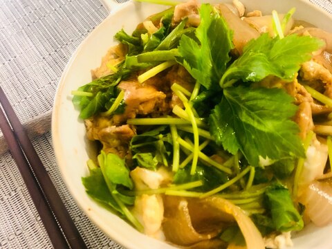 我が家の親子丼